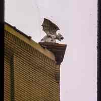          Color slide of close-up side view of gargoyle on a building on Jefferson and 4th picture number 1
   