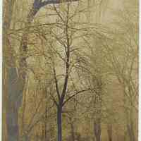 Digital image of sepia-tone photographic postcard view of 4th Street Park (Church Square), Hoboken, no date, ca. 1900.