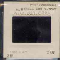          Color slide of close-up view of cornice, pediment, and figurine brackets at 712 Adams between 7th and 8th picture number 2
   