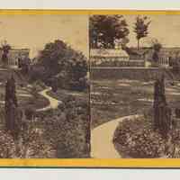 Stereoview: Stevens