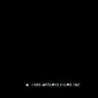          Counter Parts - Nicole Lucas19
   