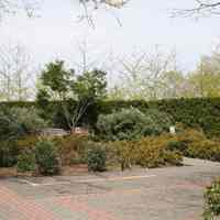 Color photos, 4, of Annette Illing Memorial Garden, northwest corner of Pier A Park, Hoboken, Apr. 14, 2012.