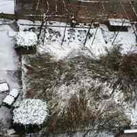 Color photos, 3, of backyard of 728 Willow Avenue with light snow, December 4, 2005.