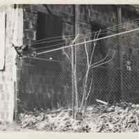 B+W photo of lot with debris 820 Jefferson Street with derelict building, Hoboken, no date, ca. 1970-1980.