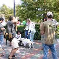 Digital color image of the 2004 Hoboken Pet Parade, along the Hoboken Waterfront, Sunday, September 26, 2004.