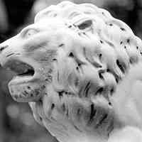 B+W photo detail of a carved stone lion yard ornament probably on Hudson St., Hoboken, no date (ca. 1968-72).