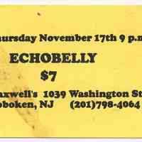          52 Echobelly
   