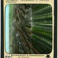          full lantern slide (rotated) with labeling
   