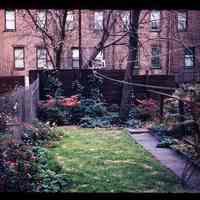 Color slide of a backyard.