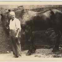 Digital image of B+W photo of Raffaele Gallo with his work horse in backyard of 509 Monroe St., Hoboken, no date, ca. 1915-1930.