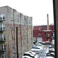 Digital images, 2, of willow tree in backyard of 724 Willow Avenue, December 4, 2005.