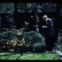 Color slide of a man in a backyard.