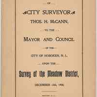 Report of the City Surveyor to the Mayor & Council on Survey of the Meadow District, Dec. 1900.