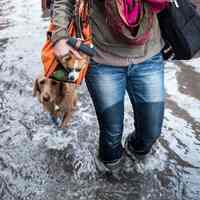          Hoboken-hurricane-sandy-photos-12
   