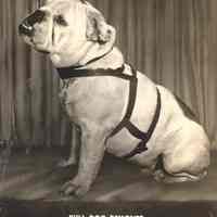 Postcard: Gillespie Varnish Co., Jersey City, NJ