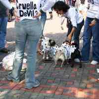 Digital color image of the 2004 Hoboken Pet Parade, along the Hoboken Waterfront, Sunday, September 26, 2004.