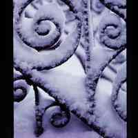 Color slide of snow on wrought iron.