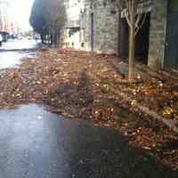 Color photos, 7, taken after Hurricane Sandy by Laura Sannitti, Hoboken, Oct.30, 2012.