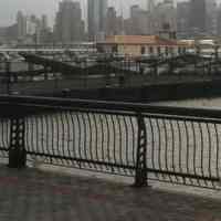          Sandy Laura Sannitti Photo 2 Oct 30 2012 (Hoboken Marina, Pier 13)
   