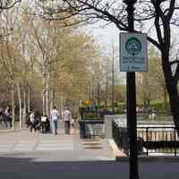          061 Tree City USA sign on lamp post
   