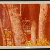 Photo of the yard of 64 10th Street Hoboken.