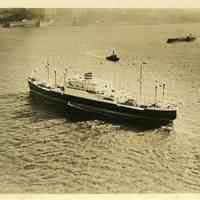 B+W aerial photo of S.S. Noordam of Holland America Line, arriving in N.Y. harbor, Oct. 7, 1938.