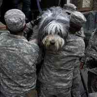          Hoboken-hurricane-sandy-photos-37
   