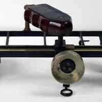          typical position standing on legs
   