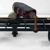          opposite side view when standing on legs
   