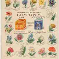 Postcard: Lipton