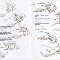          pg [24] + inside back cover: illustrated instructions on how to shuck clams
   