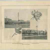          page [16] North German Lloyd Line; Hamburg American (America) Line
   