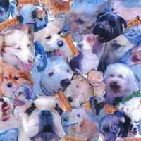          flag 4, side 1: Tige Anderson
   