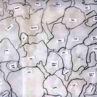          flag 4, side 2: Tige Anderson
   