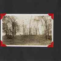          30: exterior of stately home with grounds / reverse blank
   