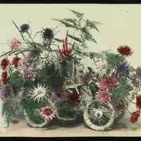 Lantern slide, color, of an automoble table-top floral arrangement, used for promotional display in Hoboken, no date, ca. 1920.