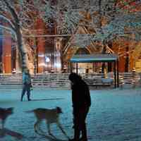          Dsc_0132 dog run Church Square Park
   