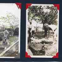          33; 34: hand colored prints of a woman in garden or orchard
   
