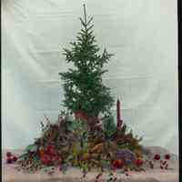 Lantern slide, color, of a tall Christmas evergreen centerpiece, berries, pine cones, candle,used for promotional display,Hoboken, no date, ca. 1920.