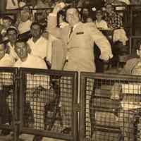 B+W photo of John J. Grogan throwing out a ceremonial first baseball pitch at unidentified stadium, no place, no date, ca. 1952-1960.