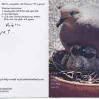 CD-ROM, "Born & Raised in Hoboken," by Jean-Paul Picard, 1999, 2004. Slide show of mourning doves nesting & raising young on a Hoboken fire escape.