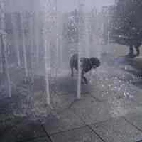 Digital images, 8, of a dog in the fountain at Pier A Park, Hoboken, September 18, 2005.
