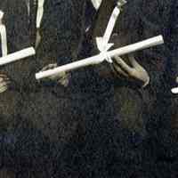          detail Vincent Bellew
   