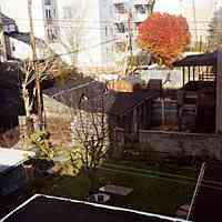 Digital images of four color photos of the backyards near 100 Bloomfield Street during the four seasons, Hoboken, 2005.
