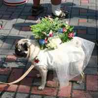 Digital color image of the 2004 Hoboken Pet Parade, along the Hoboken Waterfront, Sunday, September 26, 2004.