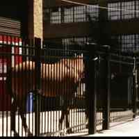          Digital video disk: Hoboken's Maxwell House Coffee Factory. A film by Sara Winter. Hoboken 2007. picture number 36
   