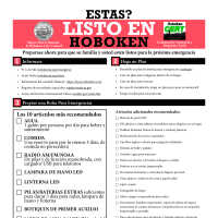          Hoboken Ready fliers. 2013. 3 versions. picture number 4
   