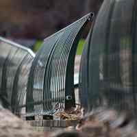          121101-5447-fence(sterneslaven)
   