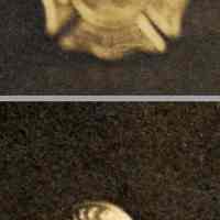          details: hat badge no. 95; buttton: City of Hoboken F.D.
   