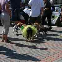 Digital color image of the 2004 Hoboken Pet Parade, along the Hoboken Waterfront, Sunday, September 26, 2004.